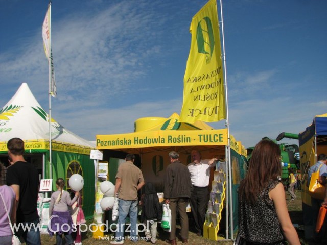 Zdj. - 611 - Poznańska Hodowla Roślin Sp. z o.o.