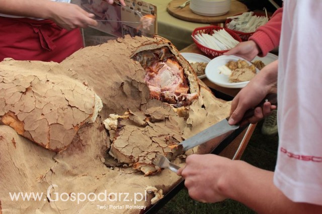 XX Targi Rolnicze Lubniewice