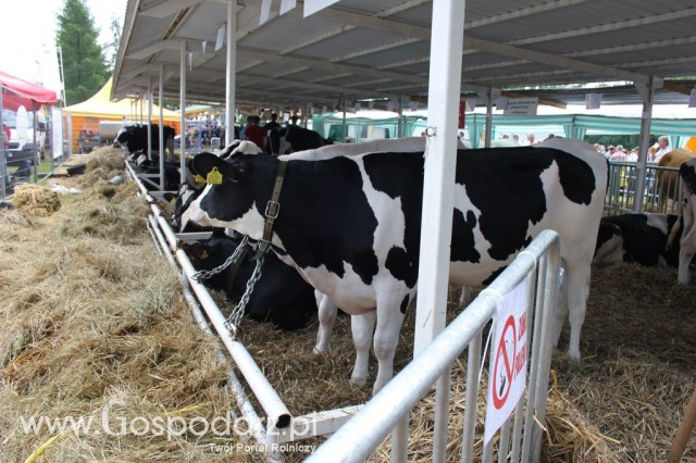 Relacja Foto Agro-Tech Minikowo 2012 - 67