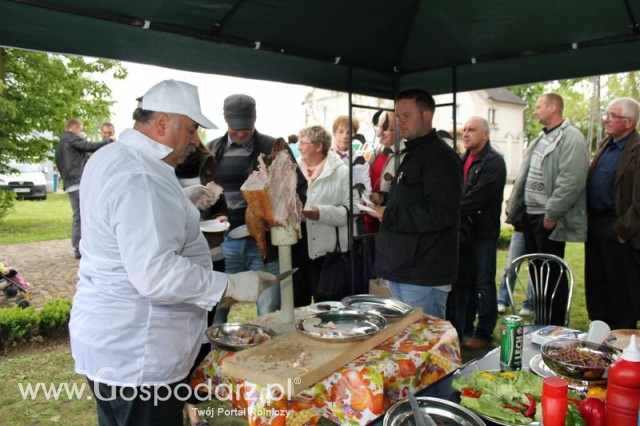 Pierwsze dni indyka w Koźminku