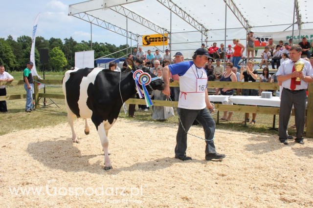 Nagordy dla superchampionów i championów  - 6