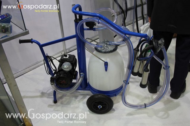 Foto reportaż  z XI Międzynarodowych Targów Fermy Bydła