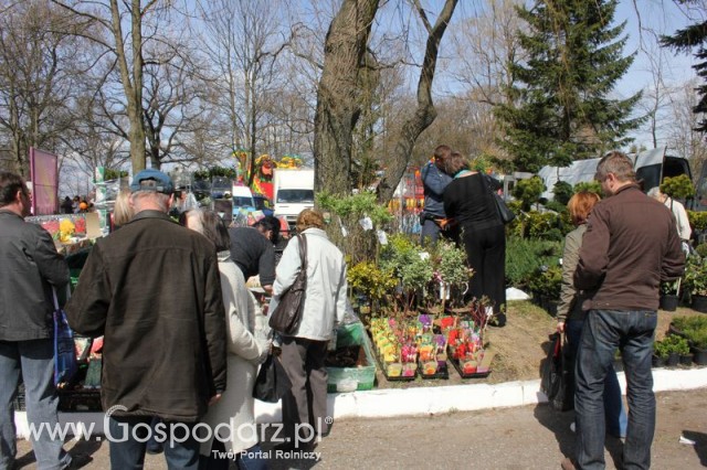 Fotoreportaż z XX Agro-Targów 2011 w Starej Łubiance