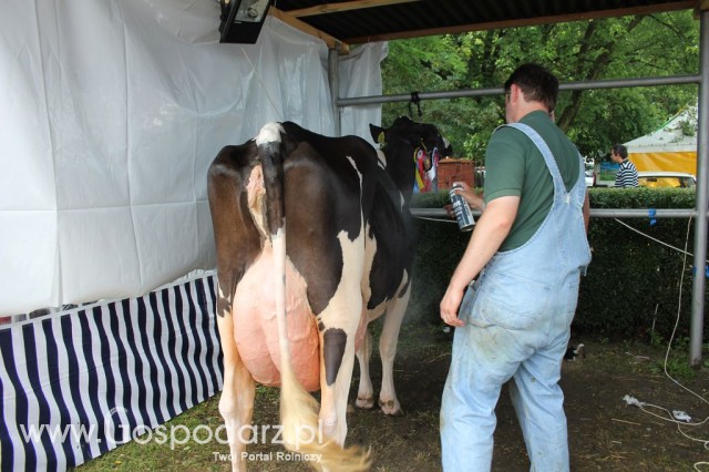 Relacja Foto Agro-Tech Minikowo 2012 - 65