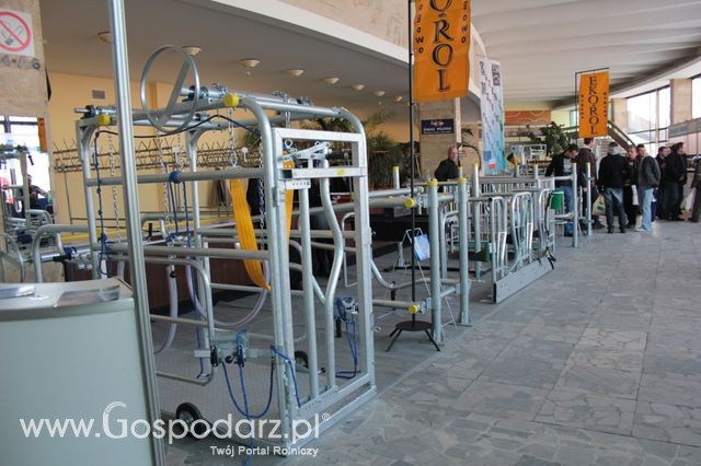 Fotoreportaż  z XI Międzynarodowych Targów Fermy Bydła