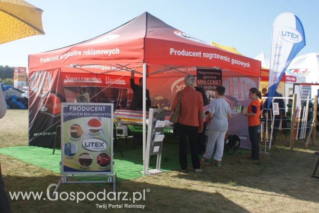 Zdj. - 418 - LITEX ZPH STANISŁAW LITWIN