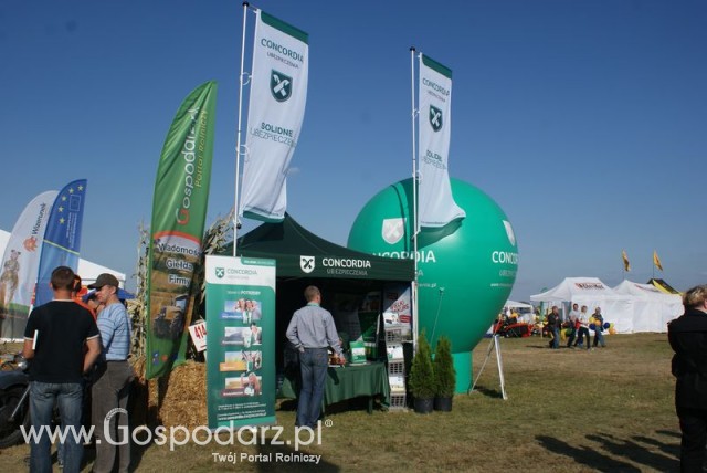 Zdj. - 97 - Concordia