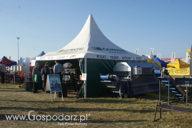 Zdj. - 284 - GUMSTAL Stanisława Lubiszewska