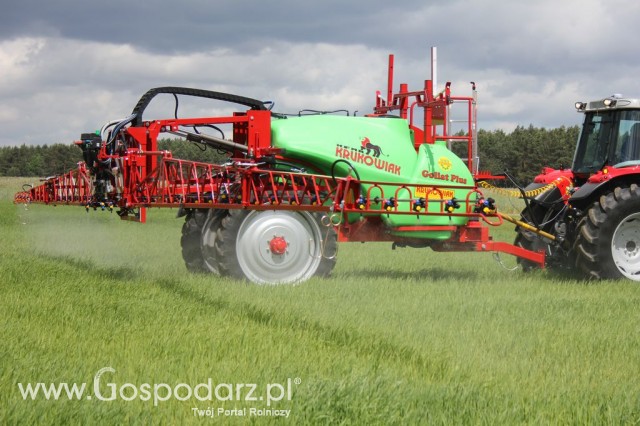 Zielone Agro Show Kąkolewo - Polskie Zboża  - 102