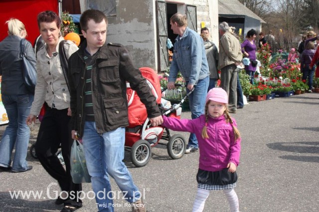 Fotoreportaż z XX Agro-Targów 2011 w Starej Łubiance
