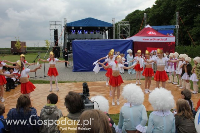 Występy artystyczne odbywające się podczas Dni Indyka