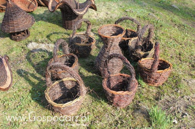 Foto reportaż z Targów Rolno-Ogrodnicze AGROMARSZ Marszew 2011