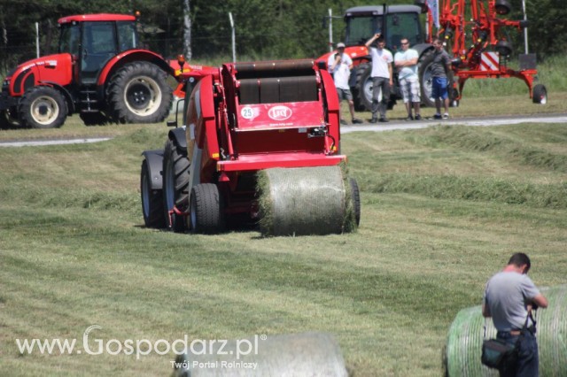 OMEGA Motławscy - Opolagra 2012 - 17