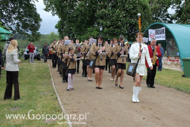 Otwarcie Pierwszych Dni Indyka w Koźminku