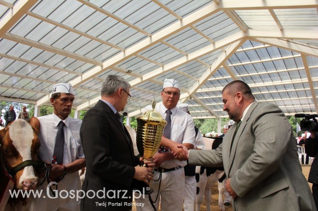 VII Ogólnopolska Wystawa Bydła Hodowlanego - 34