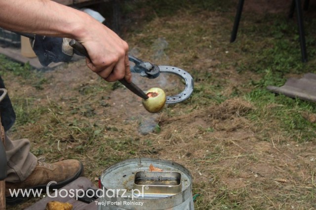 XX Targi Rolnicze Lubniewice