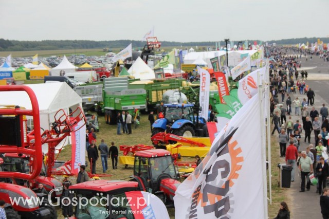 Polskie Zboża Zielone Agroshow - 87