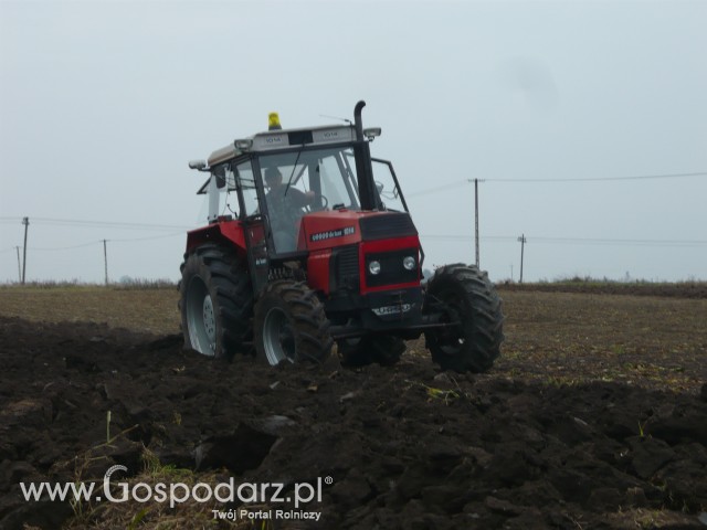 MrZgredy ursus 1014 de lux orka zimowa 2011