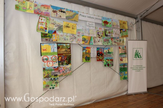 Opolagra 2012 - 85