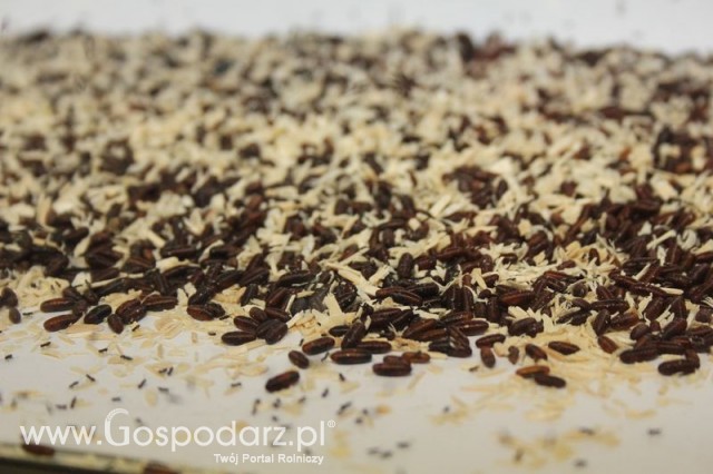 XII Międzynarodowe Targi FERMA BYDŁA i XV Międzynarodowe Targi FERMA ŚWIŃ i DROBIU - 78