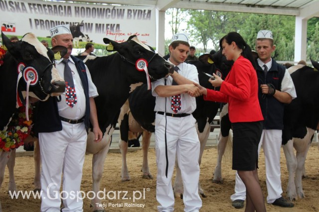 Prezentacja Championów na VII Ogólnopolskiej Wystawie Bydła Hodowlanego w Sielinku 2012 - 45