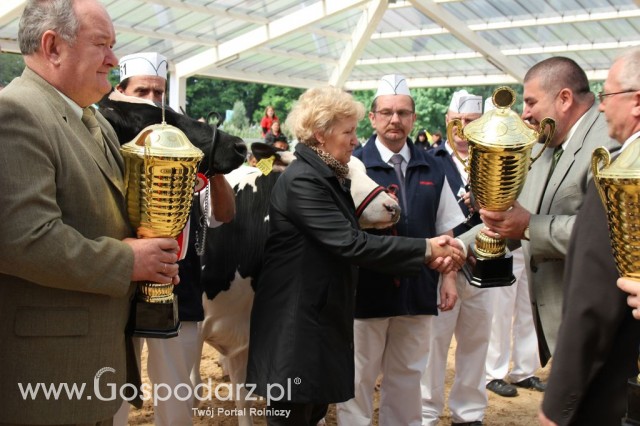 VII Ogólnopolska Wystawa Bydła Hodowlanego - 28