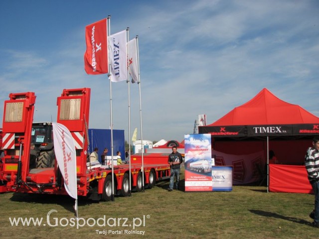 Zdj. - 630 - Timex S.A. Generalny Importer Kässbohrer