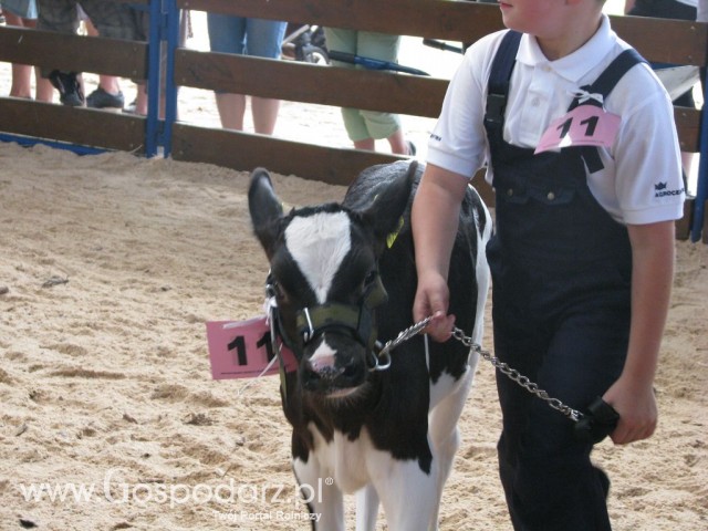 Młody Hodowca - Szepietowo 2012 - 78