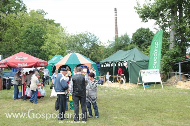 XX Targi Rolnicze Lubniewice 