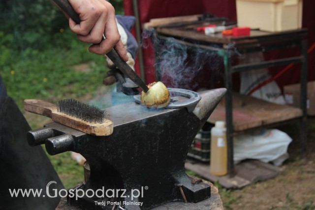 XX Targi Rolnicze Lubniewice