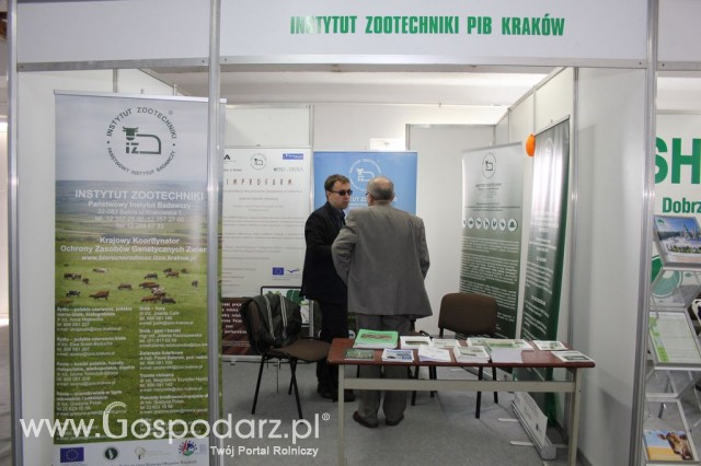 VII Ogólnopolska Wystawa Bydła Hodowlanego - 111