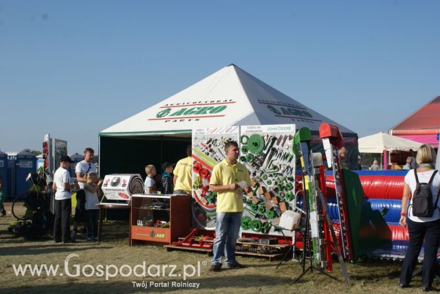 Zdj. - 229 - AGRO-JAN S.c.