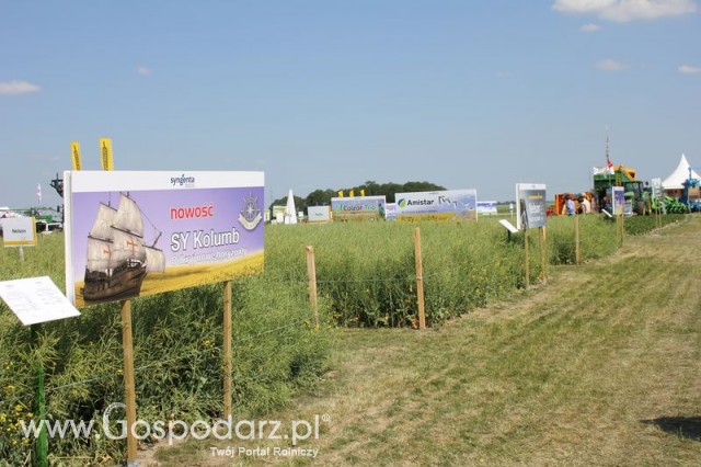 Polskie Zboża 2011 - Sobota