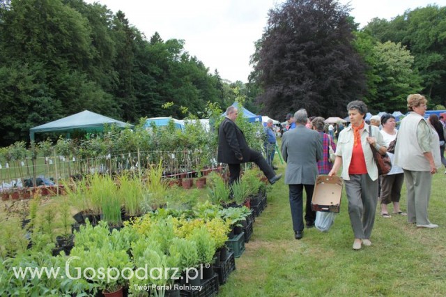 XX Targi Rolnicze Lubniewice