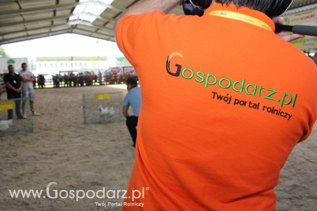 Nagrody - Szepietowo 2012 XIX Regionalna Wystawa Zwierząt Hodowlanych - 46