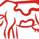 Korekcja Racic!!!!!!