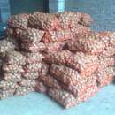 Ziemniaki Jadalne Wineta Bryza żółte łódźkie!!!