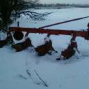 Sprzedam pług zagonowy czteroskibowy VOGEL & NOOT