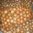 Cebulę sprzedam....Gotowa do odbioru