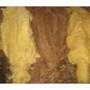 Liście tytoniu super gatunek w I klasie