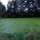 sprzedam gospodarstwo rolne 12 ha_woj.mazowieckie