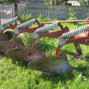 SPRZEDAM PŁUG BRIX 4 SKIBY NA SPRĘZYNIE