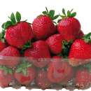 owoce truskawki - sprzedam
