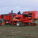 KOMBAJN DO ZBIORU ZIEMNIAKÓW BURAKÓW CEBULI MARCHWI ORAZ PASTERNAKA „KARTOFFEL”