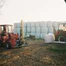 Przecinak/ Nóż do bel NOWY!!