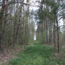 Sprzedam gospodarstwo rolne w miejscowości Jedlnia