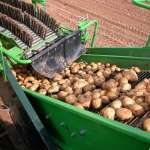 AVR Spirit 8200 Kombajn do zbioru ziemniaków