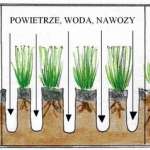 AERATOR / WERTYKULATOR 2w1 HUSAR 1600W