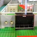 Sektor tuczu i warchlakarnia