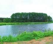 Sprzedam atrakcyjne gospodarstwo rolne 1ha